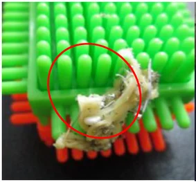 Chewing gum contamination. The red ellipse identifies chewing gum caught in the product.