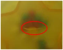 Crack in a molded part. The circled area is the source’s crack example.